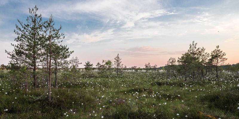 《九歌》解码：从古典文学看楚地巫觋文化中的神灵谱系与祭祀仪轨