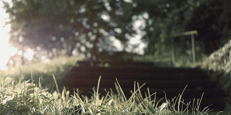 从楚辞到现代诗歌：端午节民俗中的诗词交流与演变