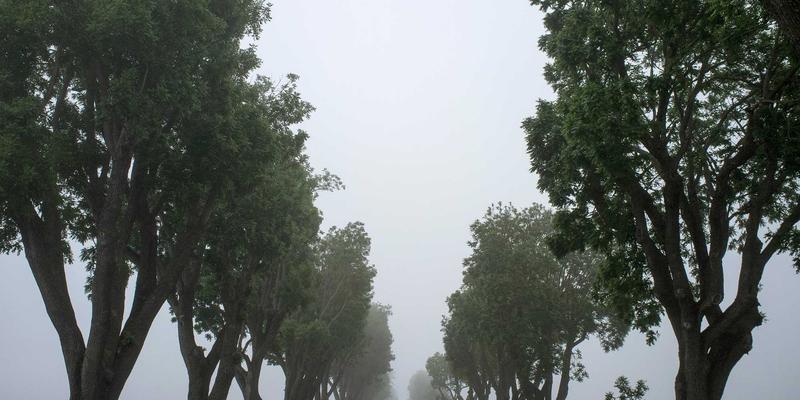 从楚辞到赛博朋克：想象力的南北分野与浪漫主义的现代回响