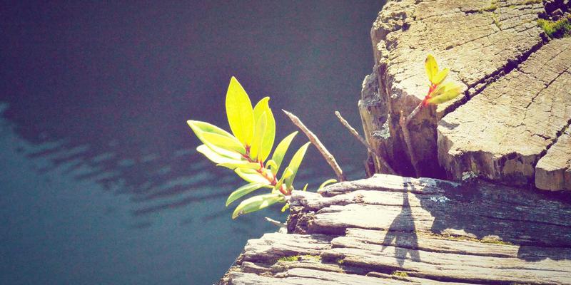 从楚辞地理到赛博幻境：长江中游的时空诗学与战国密码