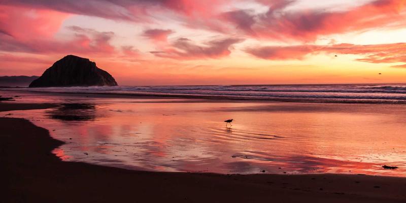 从《楚辞章句》到《补注》：古典文本的流变如何启示当代文学创作与赛博朋克诗词交流