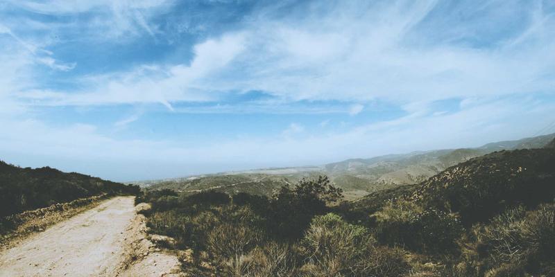 从香草美人到赛博幻境：楚辞传统在唐宋诗词中的演变与跨时空对话