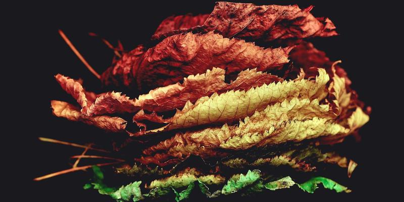 当《九歌》遇见赛博朋克：从楚地巫觋仪式到未来诗词创作的跨时空对话