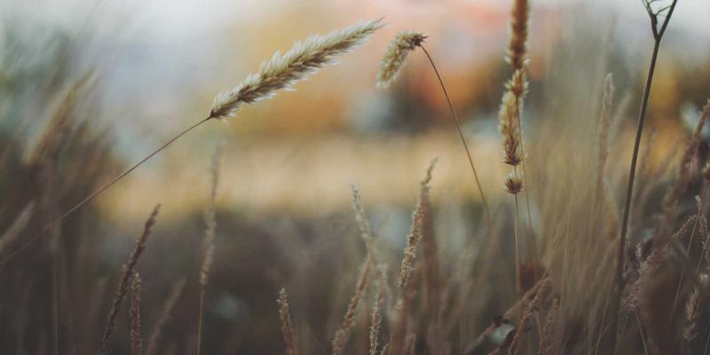 楚辞25：从千年诗魂到现代创作，一场跨越时空的诗词对话