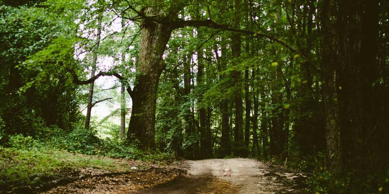 楚辞26：穿越千年的荆楚绝唱，探寻古典文学中的浪漫与风骨