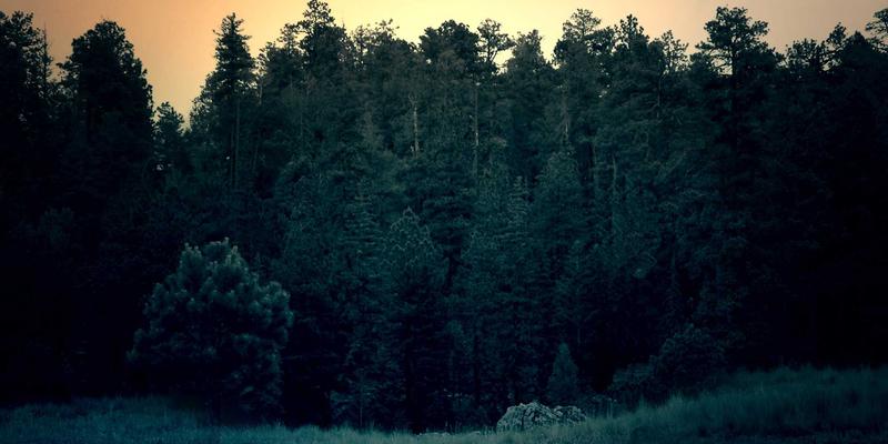 楚辞43：当古典诗魂撞上赛博霓虹，一场跨越千年的文化传承实验