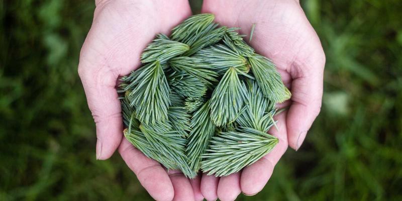 楚辞77：当赛博朋克遇见古典诗魂，一场跨越千年的文学创作实验