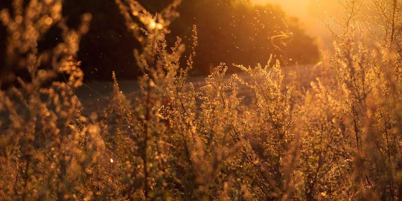 楚辞90：当赛博霓虹照亮古典诗魂，现代诗歌的文化突围