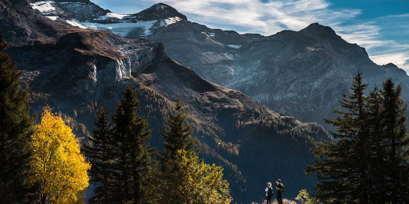 楚辞七十年:古典诗魂在现代诗歌中的文化传承与转生