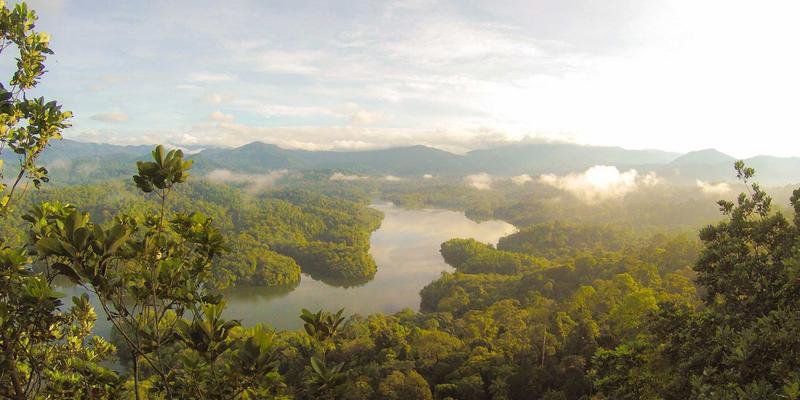 楚辞与屈原政治生涯的互文性解读：从《离骚》《九章》看战国士大夫的困境与抉择