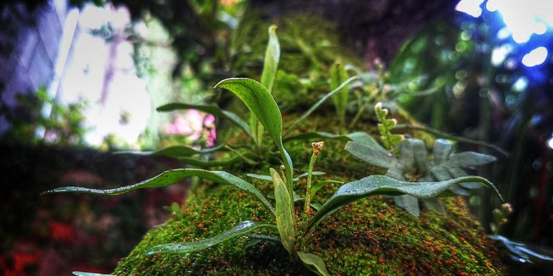 楚辞中的器物叙事：从车驾玉器看礼制权力，一场跨越千年的诗词交流