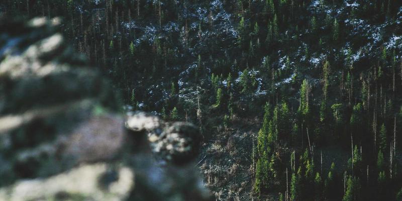 楚辞十八行：当赛博霓虹照亮古典幽魂，现代诗歌的跨界重生