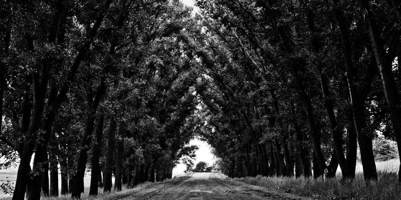 楚辞的现代回响：从文化传承到诗歌创作的千年对话