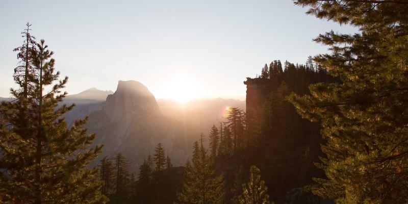 楚辞的赛博新生：当古老诗魂在数字时代重燃