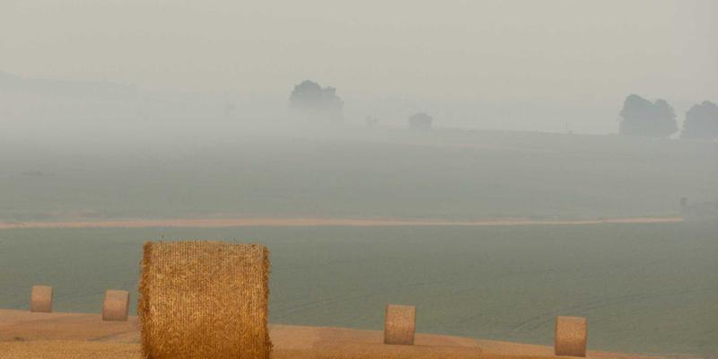楚辞《远游》中的时空观：先秦文人的宇宙想象如何启迪现代诗歌与文化传承