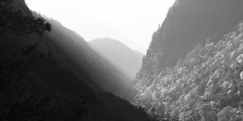 赛博朋克与楚辞的共鸣：屈原爱国主义精神的现代传承