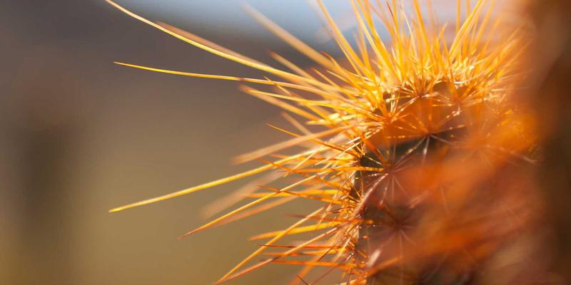 赛博朋克语境下的诗词交流：从楚辞到贾谊《吊屈原赋》的现代诗歌启示