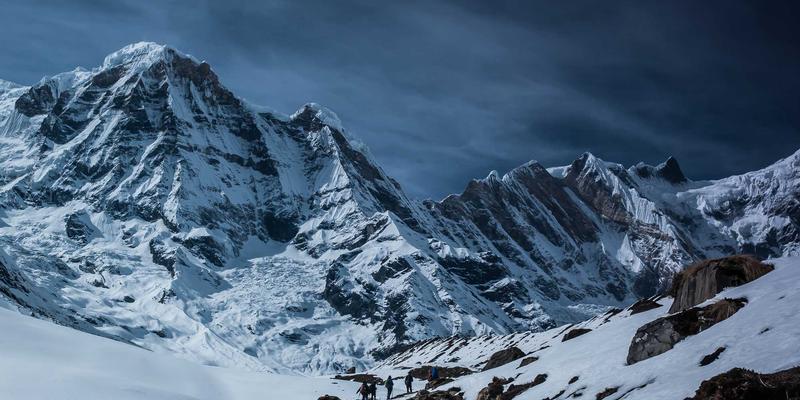 香草美人：解码《离骚》的象征密码与后世文学隐喻的传承